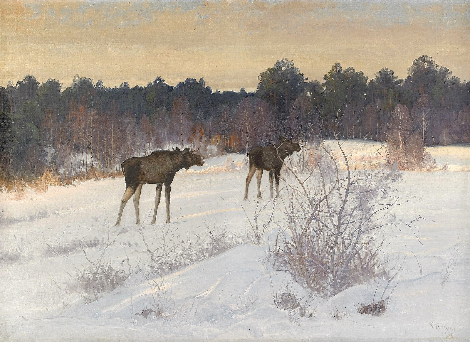 Художник Карл Брандт (Carl Brandt)